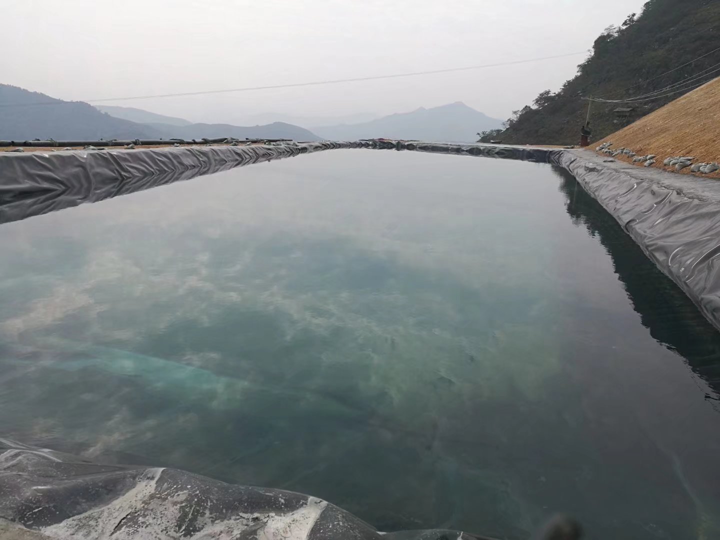 天下采二四六免费资料